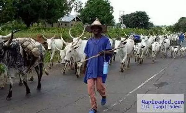 Two herdsmen sentenced to 20 years in prison in Delta State for unlawful possession of firearms